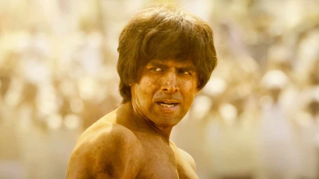 chandu-champion-box-office-collection-day-5-kartik-aaryan-starrer-showcases-steady-performance